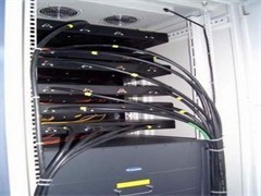 上海普陀网络维护服务 选择专业网络服务公司的关键考量