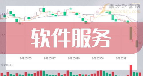 软件服务概念龙头公司 上海网络服务领域的领跑者