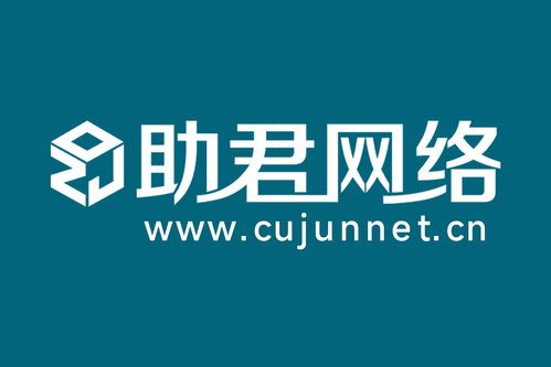 2026年上海十大实力网站建设服务商优选指南