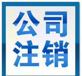 上海网络服务公司的创新发展与市场价值